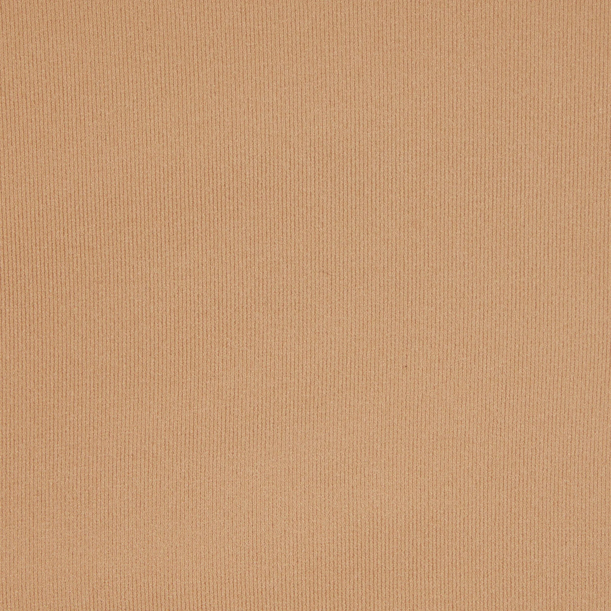 FITS EVERYBODY T-SHIRT | OCHRE