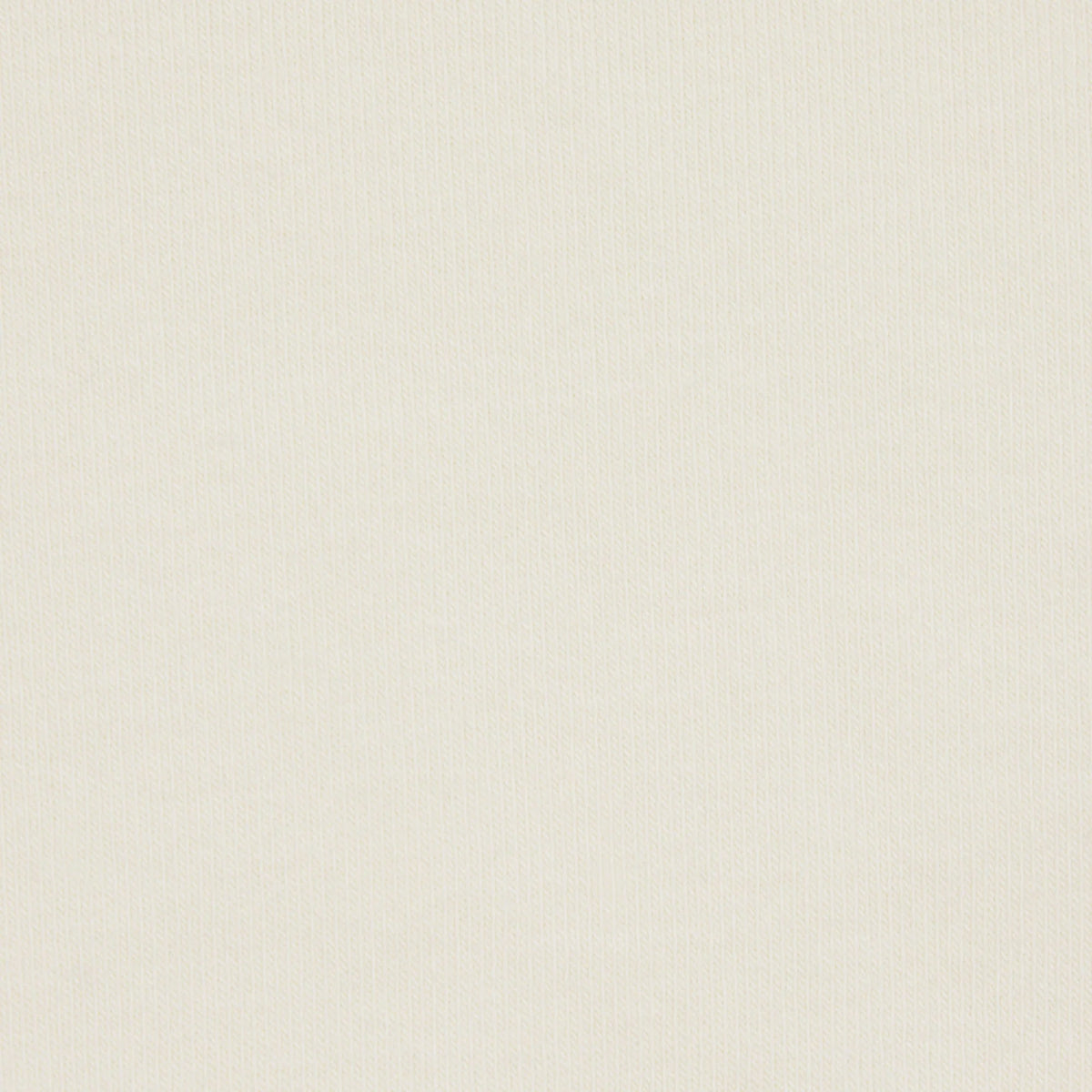 COTTON JERSEY LONG SLEEVE TURTLENECK | BONE