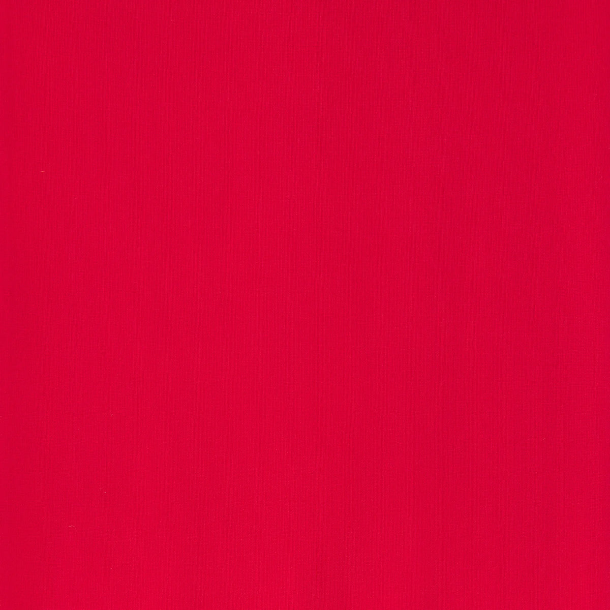 HOSIERY THIGH HIGH STOCKINGS | RUBY